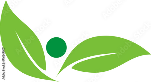 green eco icons on green leaf organic logo on green leaf vector illustration