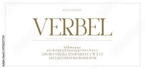 Premium luxury elegant alphabet letters and numbers. Vintage wedding typography classic serif font decorative vintage retro. creative vector illustration