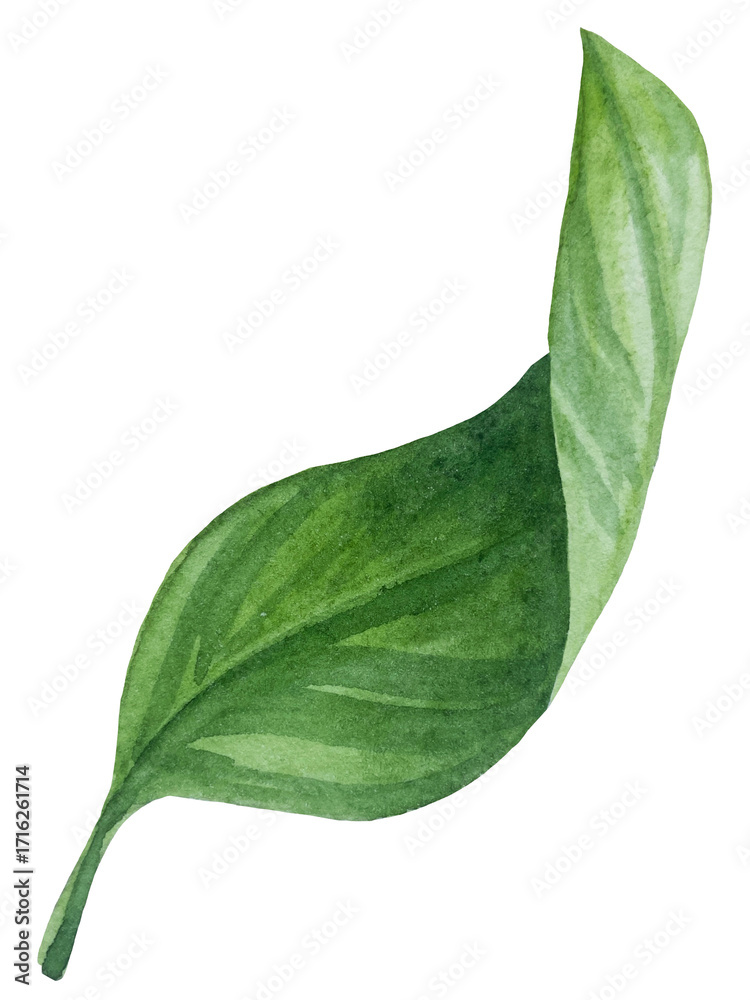 Fototapeta premium Watercolor lemon set. Half, slice, green leaf, branch of summer tropical fruit. Antiviral health food. Perfect for home decor, card making, cocktail menu.