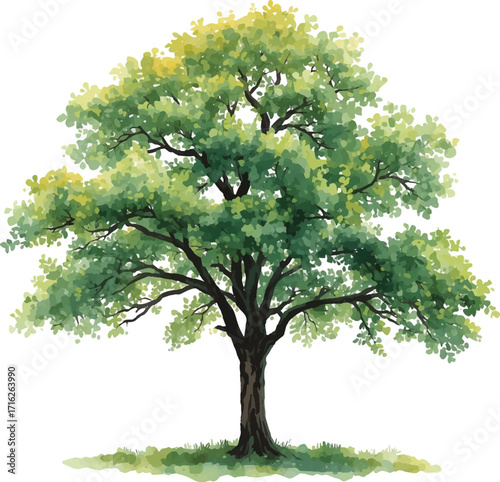 tree with green leaves