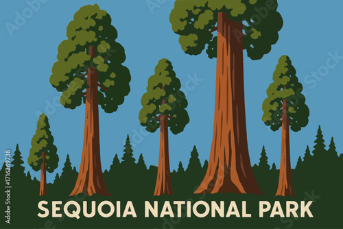 Giant Sequoias on a Sunny Day