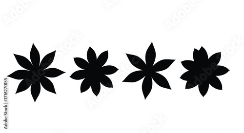 Four star anise spice pods black silhouettes isolated on simple design vector