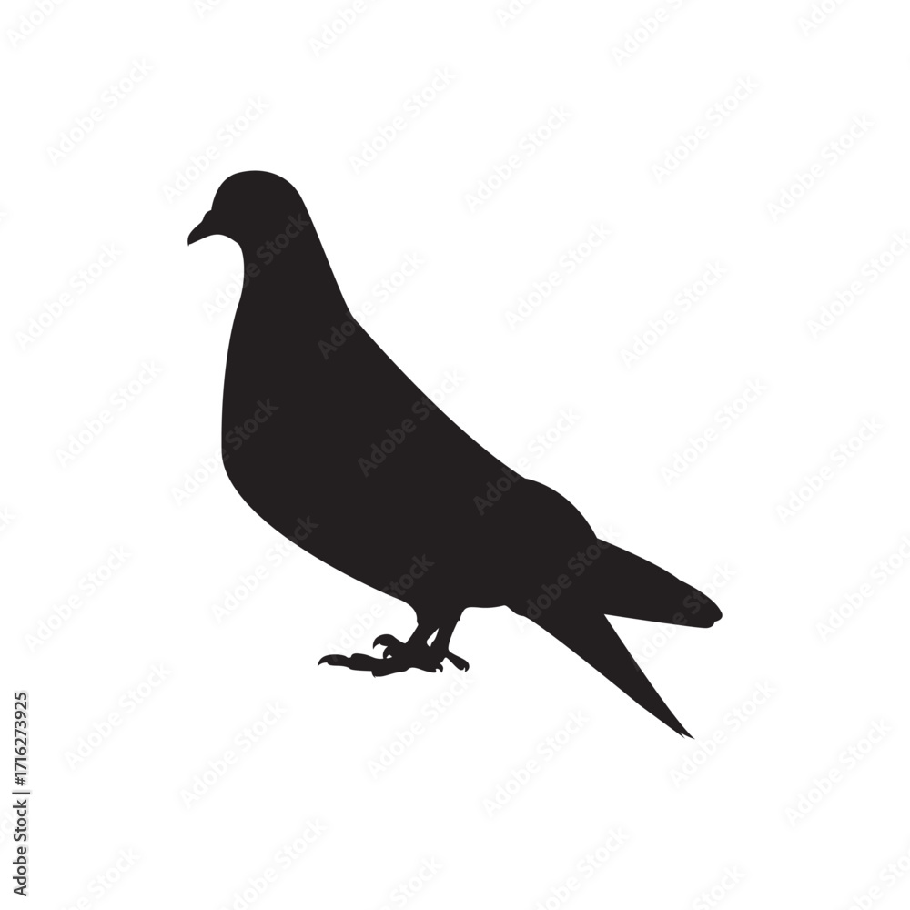 Fototapeta premium Pigeon silhouette. Clean pigeon silhouette for logos, nature, and city themed designs.