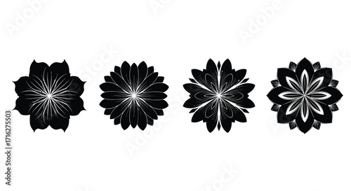 Four abstract floral starburst geometric designs in black and white vector