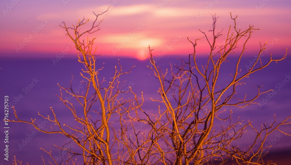 Fototapeta premium Bare tree branches silhouetted against a vibrant sunset over a hazy horizon.
