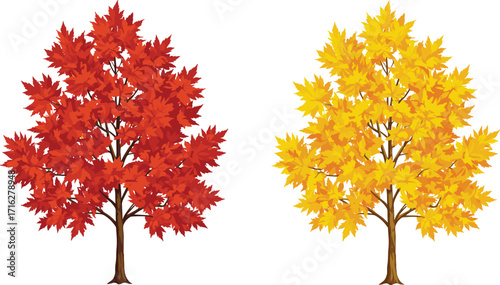 Autumn trees with red and yellow leaves, seasonal nature illustration, fall foliage background, forest design, colorful landscape, seasonal environment art