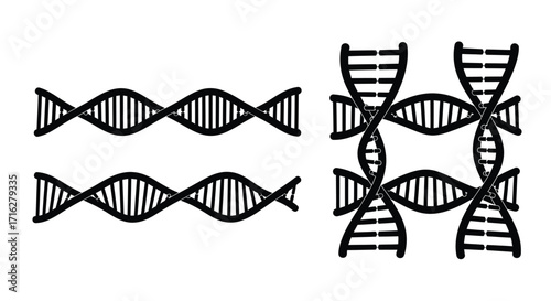 Dna double helix structures arranged in parallel and interconnected forms vector