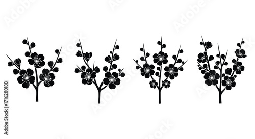 Four stylized black silhouettes of cherry blossom branches with delicate flowers vector
