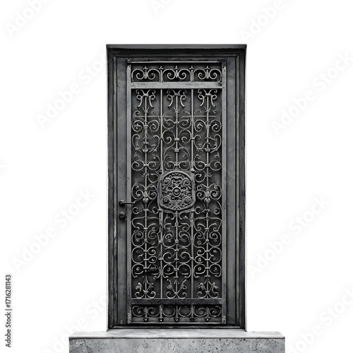  Iron door strong secure stylish home entrance