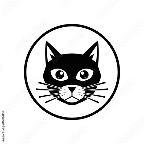 black and white cat