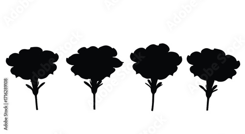 Four stylized black silhouettes of fluffy flowers with stems on vector