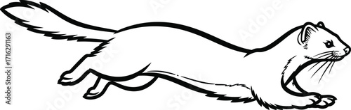 Running ermine illustration on a clean, bright white background