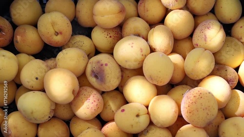 Juicy yellow apricots in a container
