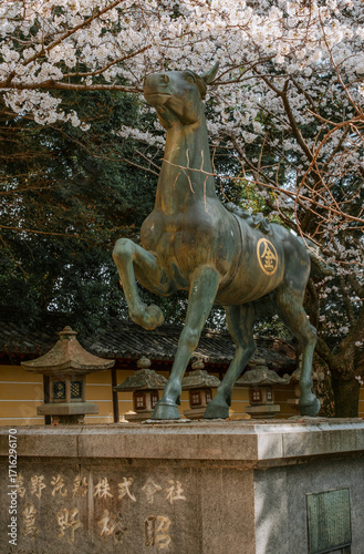 фотографія Kotohira Shrine in Shikoku, Japan