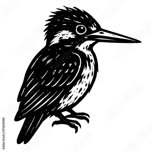 Striking black and white woodcut illustration of a magnificent kingfisher bird, perched gracefully with its distinctive long beak and spiky crest, showcasing intricate linocut artistic detail and high