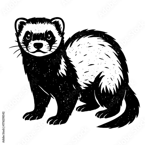 Black and white ferret illustration, showcasing a mustelid pet with its characteristic dark eye mask. Detailed, textured animal artwork capturing its curious gaze and playful spirit. Ideal for digital