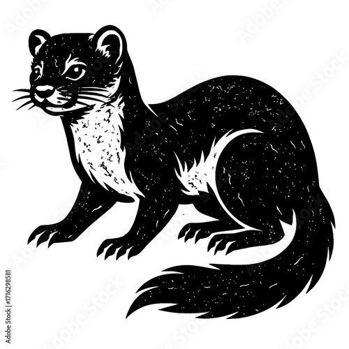 Black and White Weasel Illustration, Vintage Engraving Style Wildlife Art. This Detailed Mustelid Graphic is Perfect for Nature Enthusiasts, Digital Designs, Prints, and Woodland Animal Collections. A
