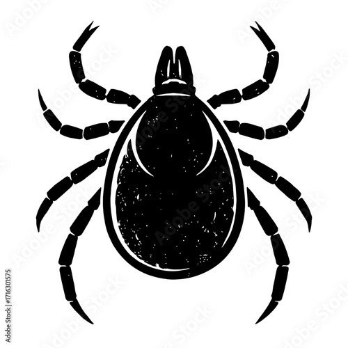 Detailed black silhouette vector icon of an adult tick, an eight-legged arachnid parasite known for transmitting Lyme disease and other serious illnesses. Essential for pest control, health awareness,