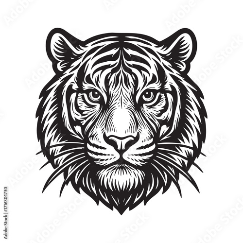 Antique engraved illustration from	Tiger portrait   engraving vector illustration. Scratch board style imitation. Black and white hand drawn image.