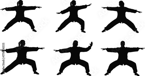 Silhouette of woman practicing martial arts, tai chi, kung fu, fitness exercise, balance training, meditation, yoga movement, body strength discipline