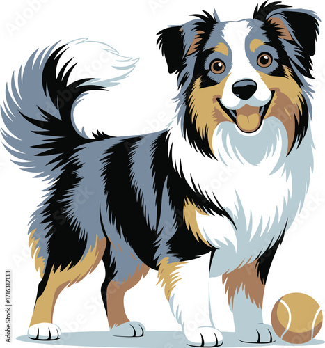 Cute cartoon a illustrator vector Australian Shepherd