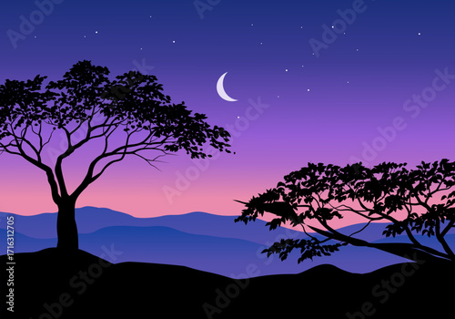 Silhouette of trees in serene night