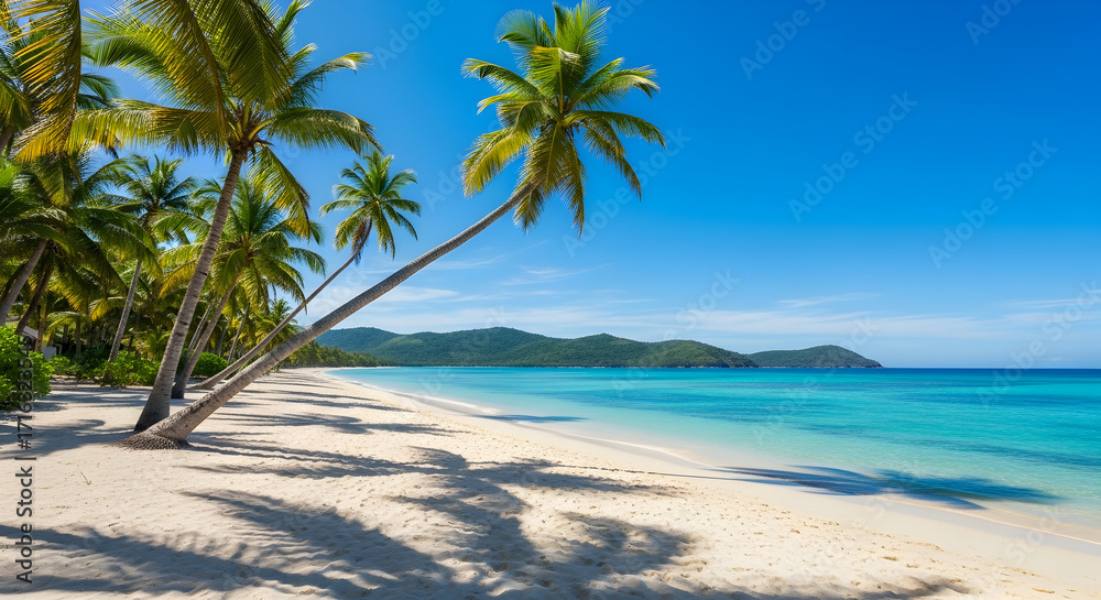 Fototapeta premium Wide tropical beach with leaning palms, white sand and crystal clear blue water under bright sky, scenic island coastline