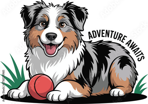 Cute cartoon a illustrator vector Australian Shepherd