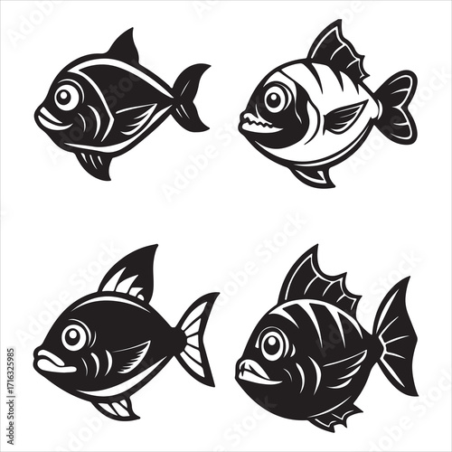 A Ferocious Carnivorous Piranha, a Predator of the Amazon River with a Powerful Razor jaw, a Schooling Flesh eater from the Serrasalminae Family