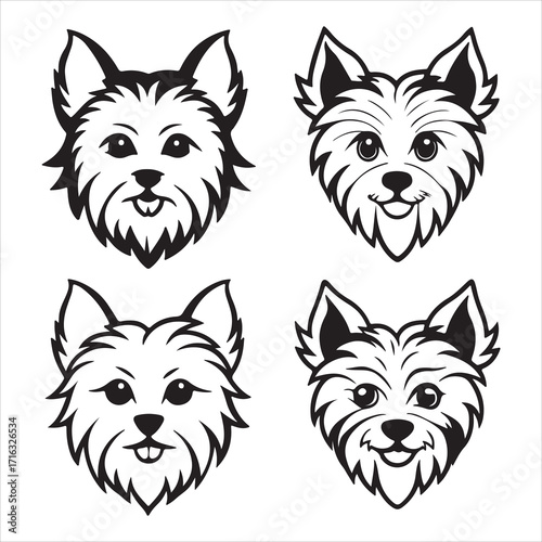 A Spirited and Sassy Yorkshire Terrier, a Confident Toy Breed with a Long Silky Coat and a Courageous Personality, a Charming Lapdog