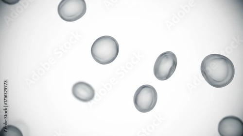 Microscopic view of circulating blood cells, vital for oxygen transport in the body.