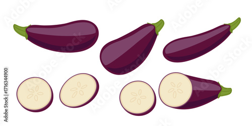 Purple eggplant collection with green stems whole and sliced with cream interior seeds. Fresh vegetable set for cooking recipes. Healthy ingredient. Vector illustration isolated on white background