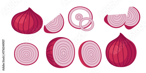 Red onion collection whole and sliced with layered rings pattern. Purple vegetable with pink interior layers. Fresh cooking ingredient set. Vector illustration isolated on white background