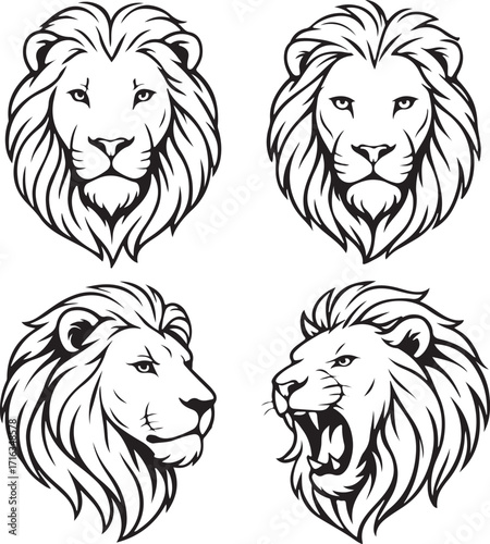 Lion heads line art illstration