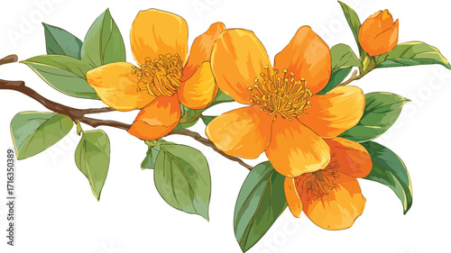 Vibrant Orange Flower Branch Vector with Outline for Design Projects