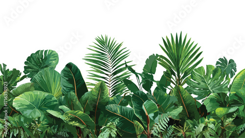 Lush Green Botanical Jungle Border Nature Photo