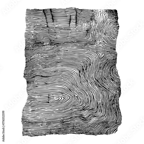 Detailed black and white fingerprint pattern with swirling lines and unique ridge characteristics visible