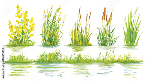 Marsh Vegetation Set Isolated Vector Style for Eco-Friendly Designs