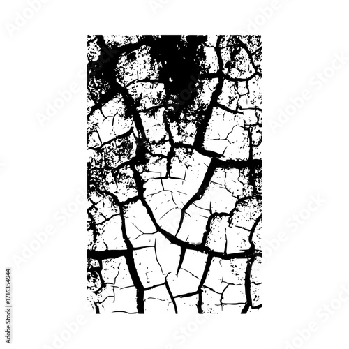 Abstract black and white texture featuring a cracked surface with intricate patterns and shapes design