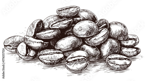 Roasted Coffee Beans Vector Illustration for Marketing Materials