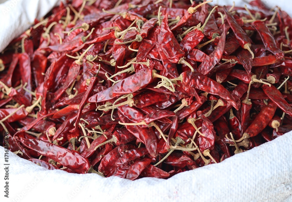 Fototapeta premium Dried red Indian chilies are kept for sale in white sacks.