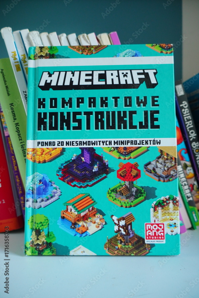 Obraz premium Minecraft Kompaktowe Konstrukcje Inspiring Mini Projects in Book Form