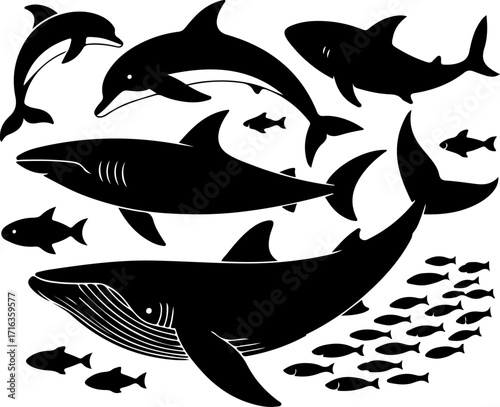 "Shark, Dolphin, and Fish Silhouette Collection"

"Ocean Life Vector Set – Marine Animal Silhouettes"

"Underwater Creatures: Shark, Dolphin & Fish Designs"