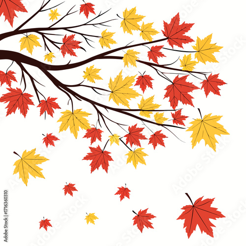Autumn maple tree branches with falling red and yellow leaves on a white background