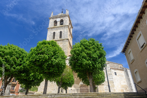 Bell tower of Santa Maria de la Asuncion church in Dueñas, Palencia behind green trees