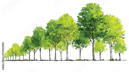 Symmetrical Alignment of Trees with Background Forest