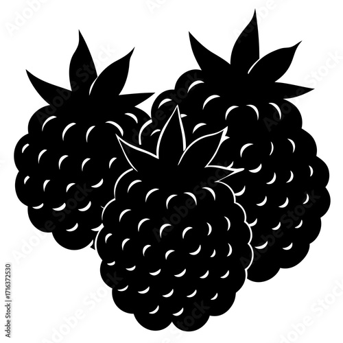 Black silhouette of three raspberries on white background