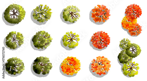 Vertor set of autumn tree,plants top view for landscape plan,schematic layout,eco environment concept design,watercolor ginkgo tree illustration,colorfulseason