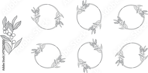 Set of black laurels frames branches. Vintage laurel wreaths collection. Hand drawn vector laurel leaves decorative elements. Leaves, swirls, ornate, award, icon.