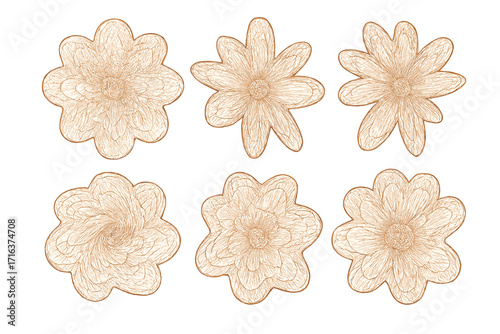 Collection of guilloche rosettes for certificates and diplomas. Decorative floral elements for security design. Vintage engraving vector ornaments. Classic line art for currency.